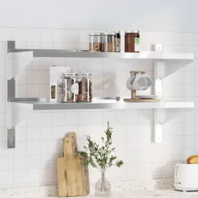 2-Tier Wall Shelf 100x40x60 cm Silver Stainless Steel