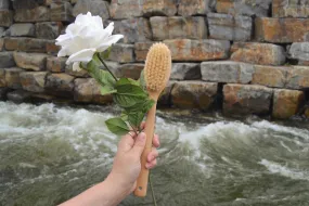 European Bathing Brush