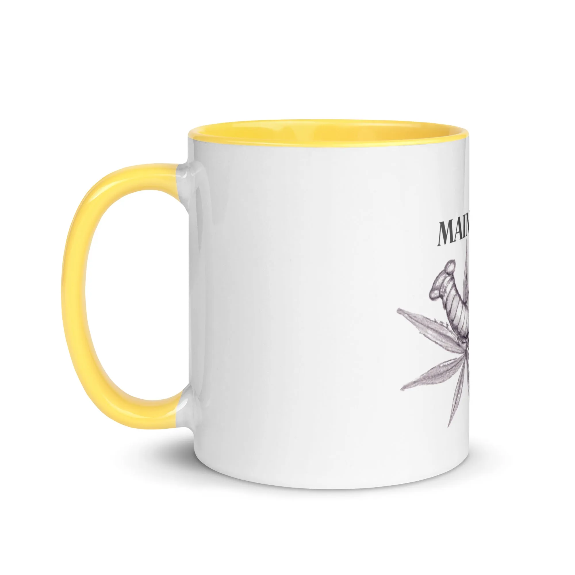 Mug with Color Inside